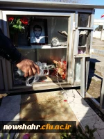 غبار روبی وعطر افشانی گلزار شهدای مزگاه 3