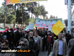شرکت در راهپیمایی 22 بهمن 4