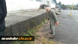 گزارش پاکسازی محوطه و فضای سبز دانشگاه  6