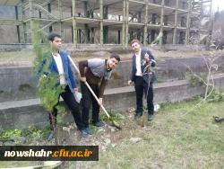 مراسم روز درختکاری 2