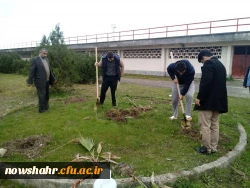 مراسم روز درختکاری 5