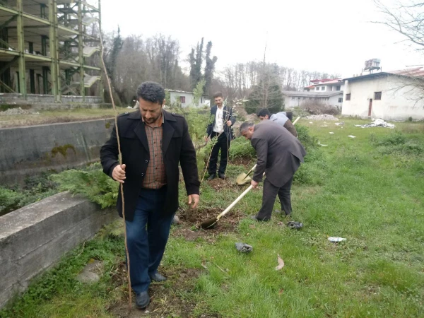 مراسم روز درختکاری 3