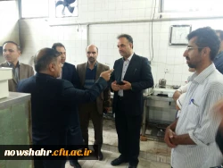 بازدید میدانی آقای دکتر زیویار مشاور عالی ریاست 4