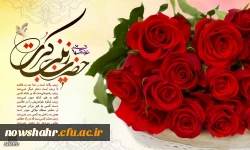 روز ولادت با سعادت حضرت زینب(س) و روز پرستار مبارک باد