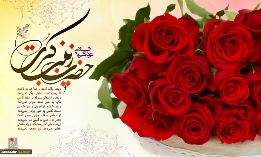 روز ولادت با سعادت حضرت زینب(س) و روز پرستار مبارک باد