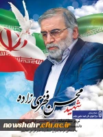 شهید محسن فخری زاده  2