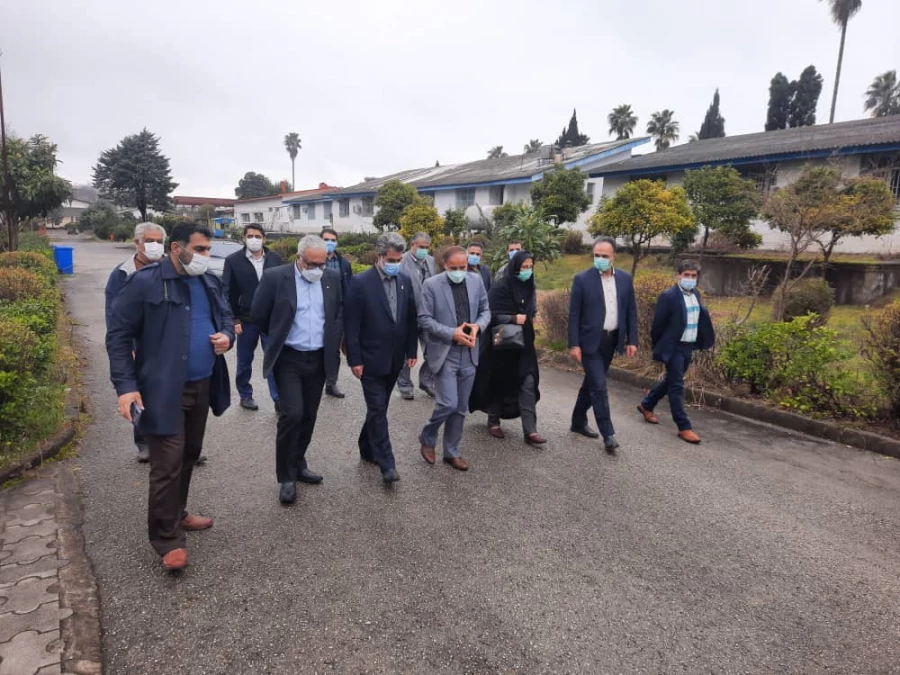 به مناسبت گرامیداشت هفته منابع طبیعی و روز درختکاری و یادبود   17 هزار بانوی شهیده  در مرکز اموزش عالی 520 درخت افرا،ون،بلوط،چنار غرس شد. 3