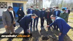 به مناسبت گرامیداشت هفته منابع طبیعی و روز درختکاری و یادبود   17 هزار بانوی شهیده  در مرکز اموزش عالی 520 درخت افرا،ون،بلوط،چنار غرس شد. 6