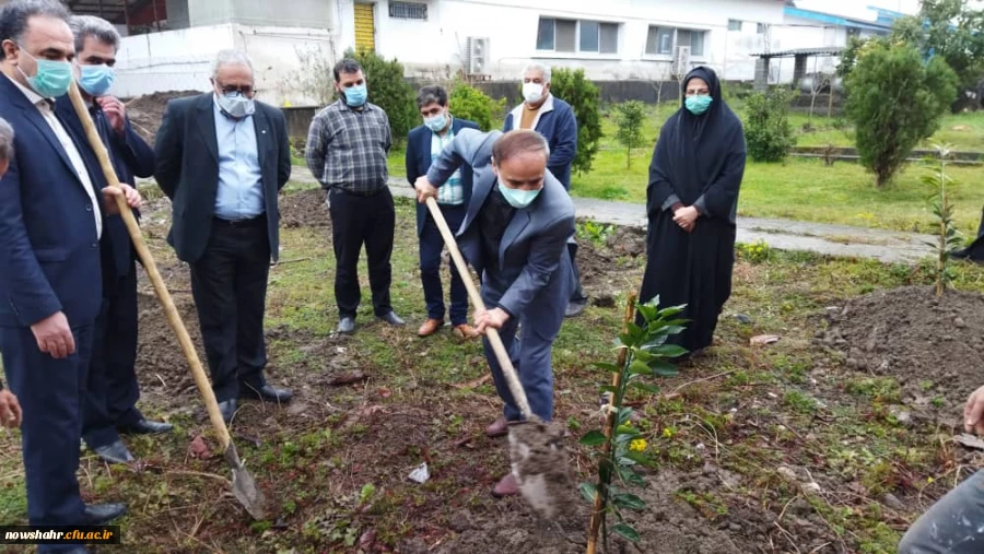 غرس 42 درخت مثمر پرتقال در هفته منابع طبیعی و روز درختکاری به مناسبت چهل و دومین سالگرد پیروزی انقلاب اسلامی ایران  3
