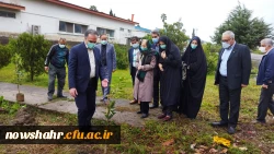 غرس 42 درخت مثمر پرتقال در هفته منابع طبیعی و روز درختکاری به مناسبت چهل و دومین سالگرد پیروزی انقلاب اسلامی ایران  7