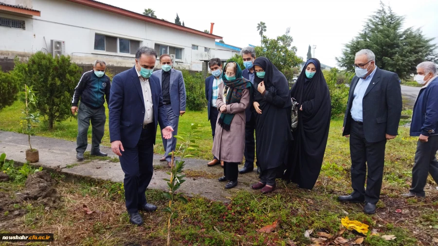 غرس 42 درخت مثمر پرتقال در هفته منابع طبیعی و روز درختکاری به مناسبت چهل و دومین سالگرد پیروزی انقلاب اسلامی ایران  7