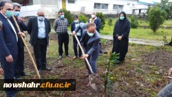 غرس 42 درخت مثمر پرتقال در هفته منابع طبیعی و روز درختکاری به مناسبت چهل و دومین سالگرد پیروزی انقلاب اسلامی ایران  3