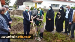 غرس 42 درخت مثمر پرتقال در هفته منابع طبیعی و روز درختکاری به مناسبت چهل و دومین سالگرد پیروزی انقلاب اسلامی ایران  8