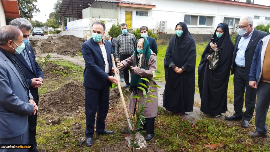 غرس 42 درخت مثمر پرتقال در هفته منابع طبیعی و روز درختکاری به مناسبت چهل و دومین سالگرد پیروزی انقلاب اسلامی ایران  8