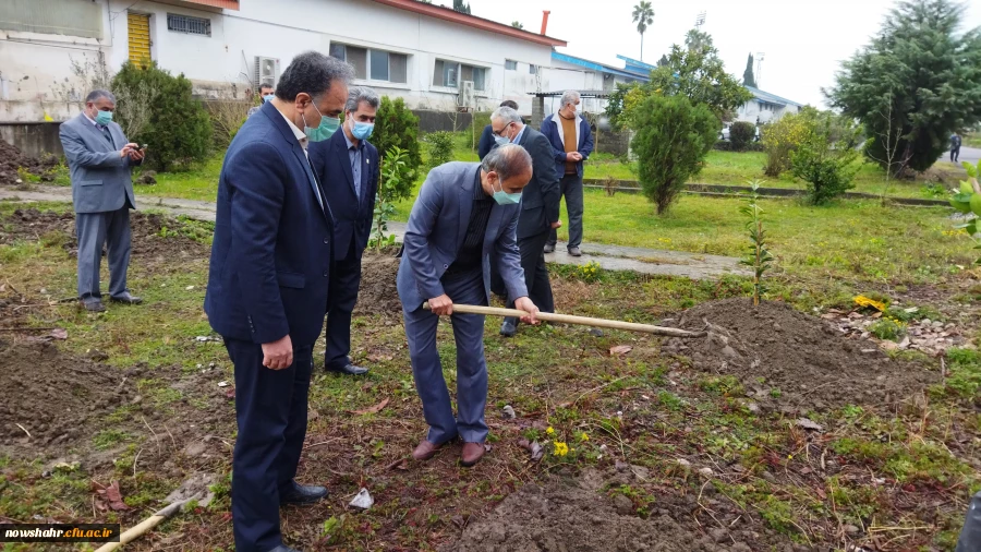 غرس 42 درخت مثمر پرتقال در هفته منابع طبیعی و روز درختکاری به مناسبت چهل و دومین سالگرد پیروزی انقلاب اسلامی ایران  10