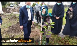 کاشت 42 اصله درخت در گرامیداشت انقلاب اسلامی ایران توسط خیّر نیک اندیش و مسئولان دانشگاه فرهنگیان نوشهر  6
