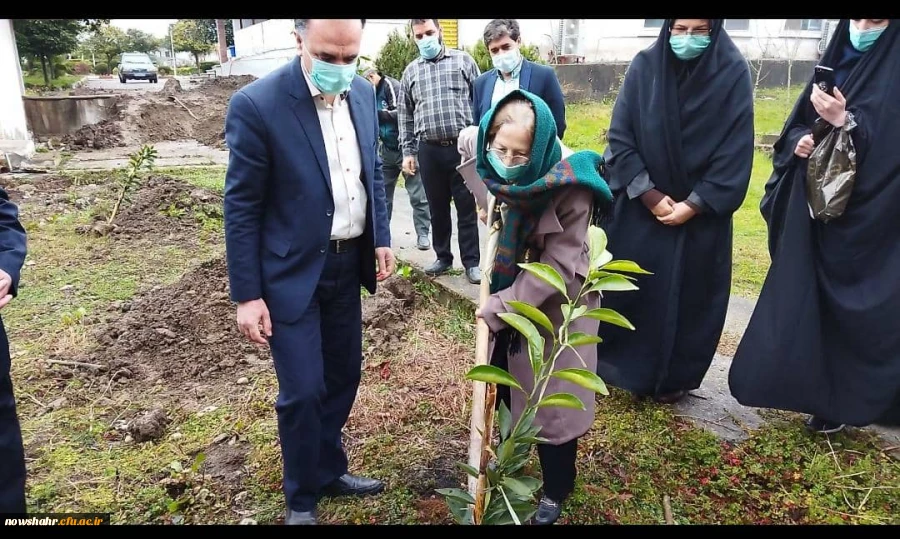 کاشت 42 اصله درخت در گرامیداشت انقلاب اسلامی ایران توسط خیّر نیک اندیش و مسئولان دانشگاه فرهنگیان نوشهر  6