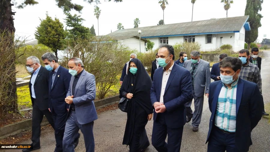 کاشت 42 اصله درخت در گرامیداشت انقلاب اسلامی ایران توسط خیّر نیک اندیش و مسئولان دانشگاه فرهنگیان نوشهر  8