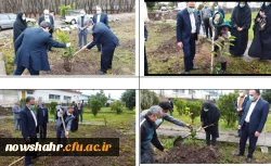 کاشت 42 اصله درخت در گرامیداشت انقلاب اسلامی ایران توسط خیّر نیک اندیش و مسئولان دانشگاه فرهنگیان نوشهر  5