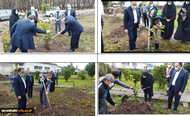 کاشت 42 اصله درخت در گرامیداشت انقلاب اسلامی ایران توسط خیّر نیک اندیش و مسئولان دانشگاه فرهنگیان نوشهر  5