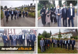 روز درخت و درختکاری 2