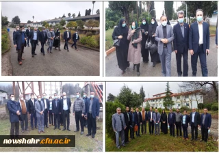 روز درخت و درختکاری