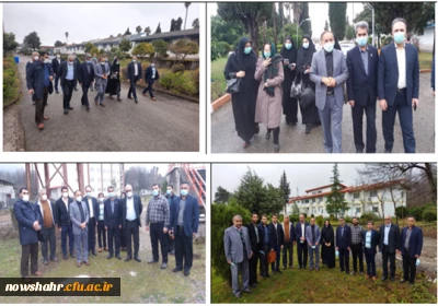 روز درخت و درختکاری