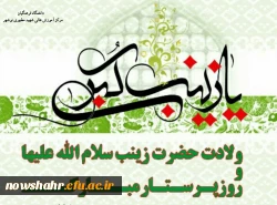 میلاد فرخنده عقیله بنی هاشم حضرت زینب سلام الله و روز پرستار مبارک باد