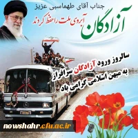 از آزاده سرافراز صادق طهماسبی در روز گرامیداشت ورود آزادگان تقدیر شد. 7